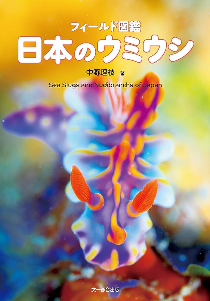 フィールド図鑑 日本のウミウシ : Amazon.co.uk: Books